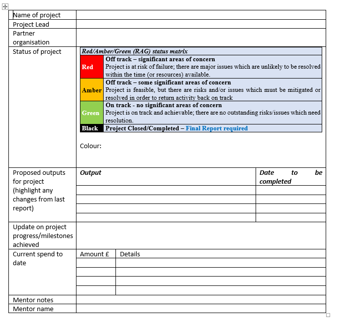 Project monitoring form with Red,Amber,Green rating