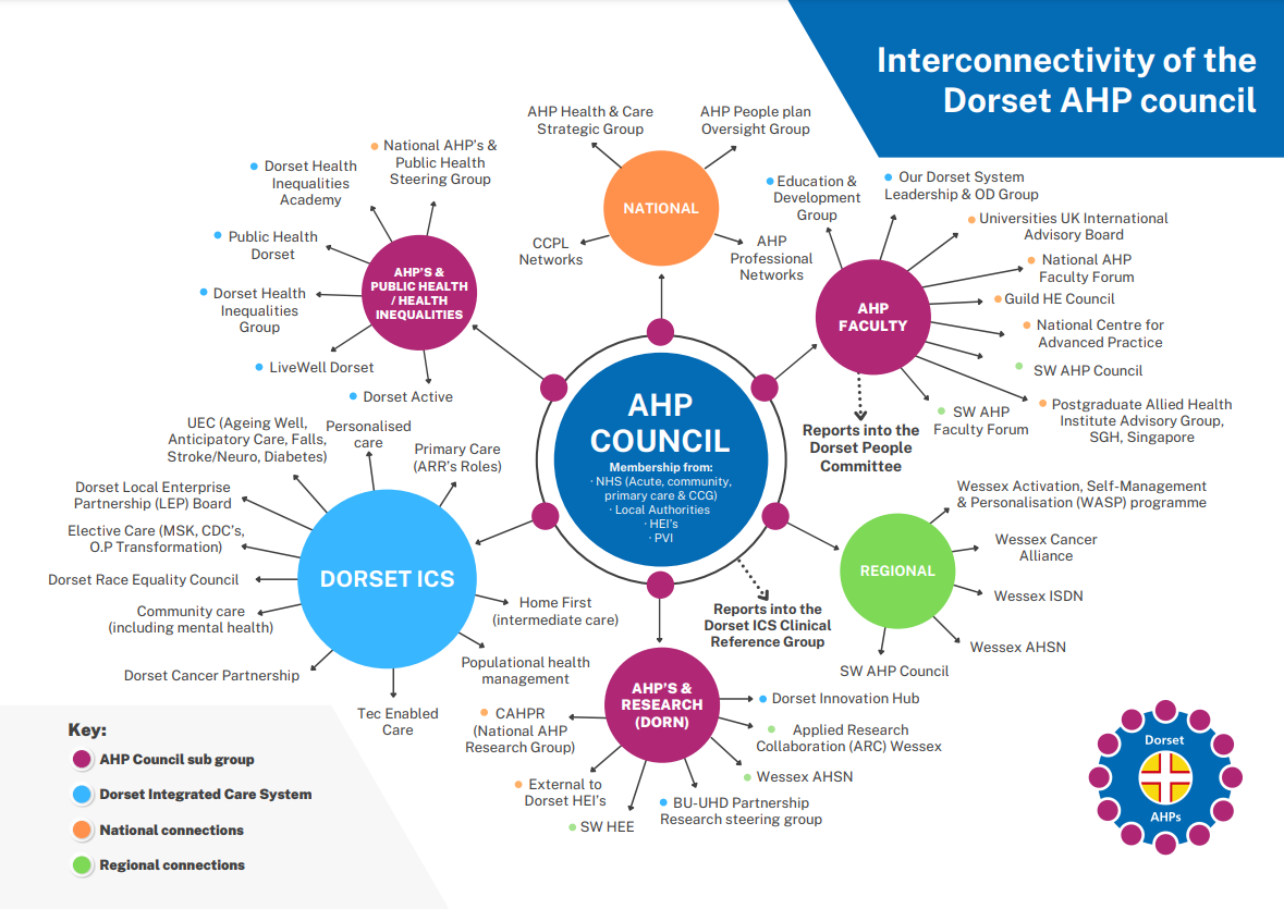 Mindmap showing interconnectvity of Dorset AHP council to wider community
