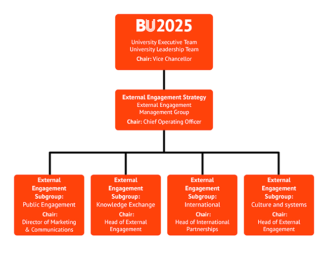 Structure chart showing the committees relevant to external engagement at Bournemouth University. This includes the External Engagement Subgroup: Public Engagement.