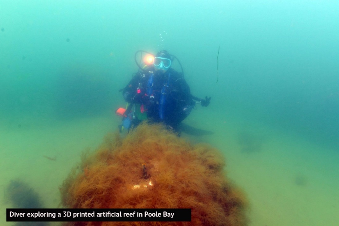 A scuba diver in the water exploring a 3D artificial reef in Poole Bay