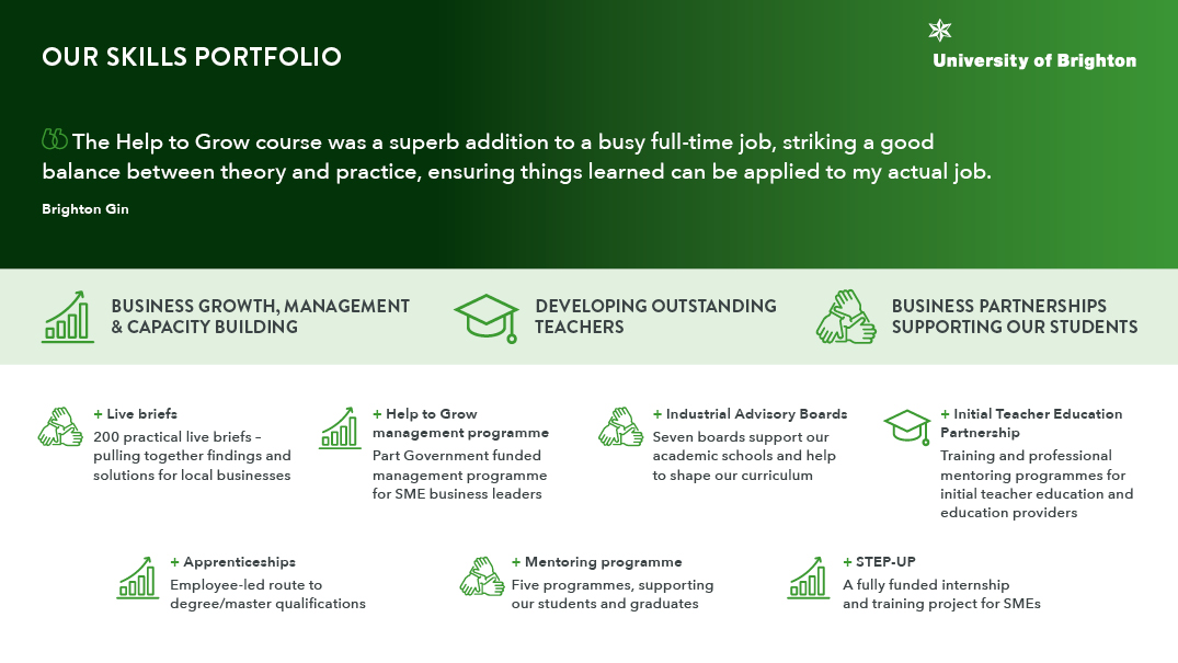 Our skills portfolio: An illustration giving examples of how we support business growth, management and capacity building, develop outstanding teachers and business partnerships to support students.