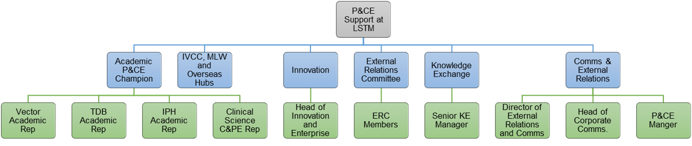 An organogram illustrating the contributing teams and individuals who contribute to developing Public and Community Engagement response for LSTM.