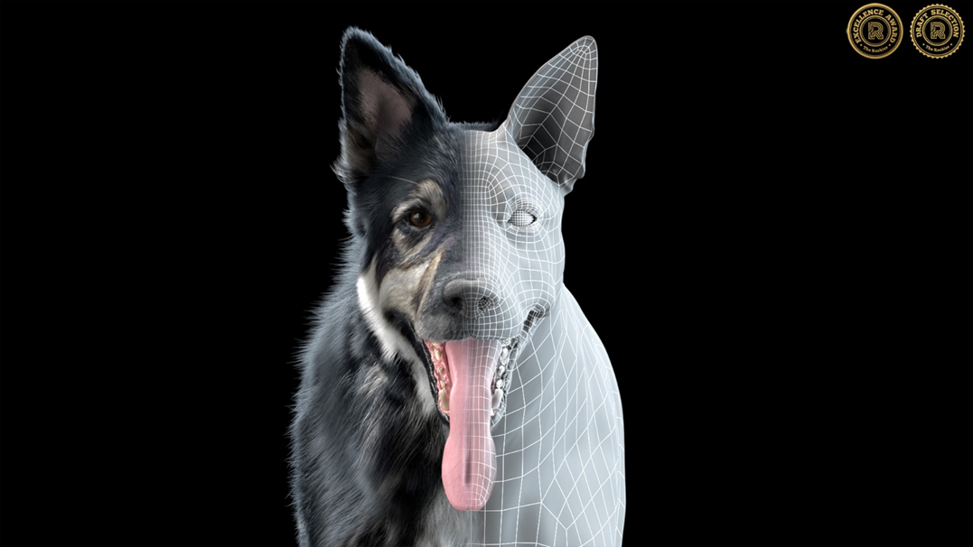 Building a dog in a game engine - Amelia Sturdy, BA Games Art and Design