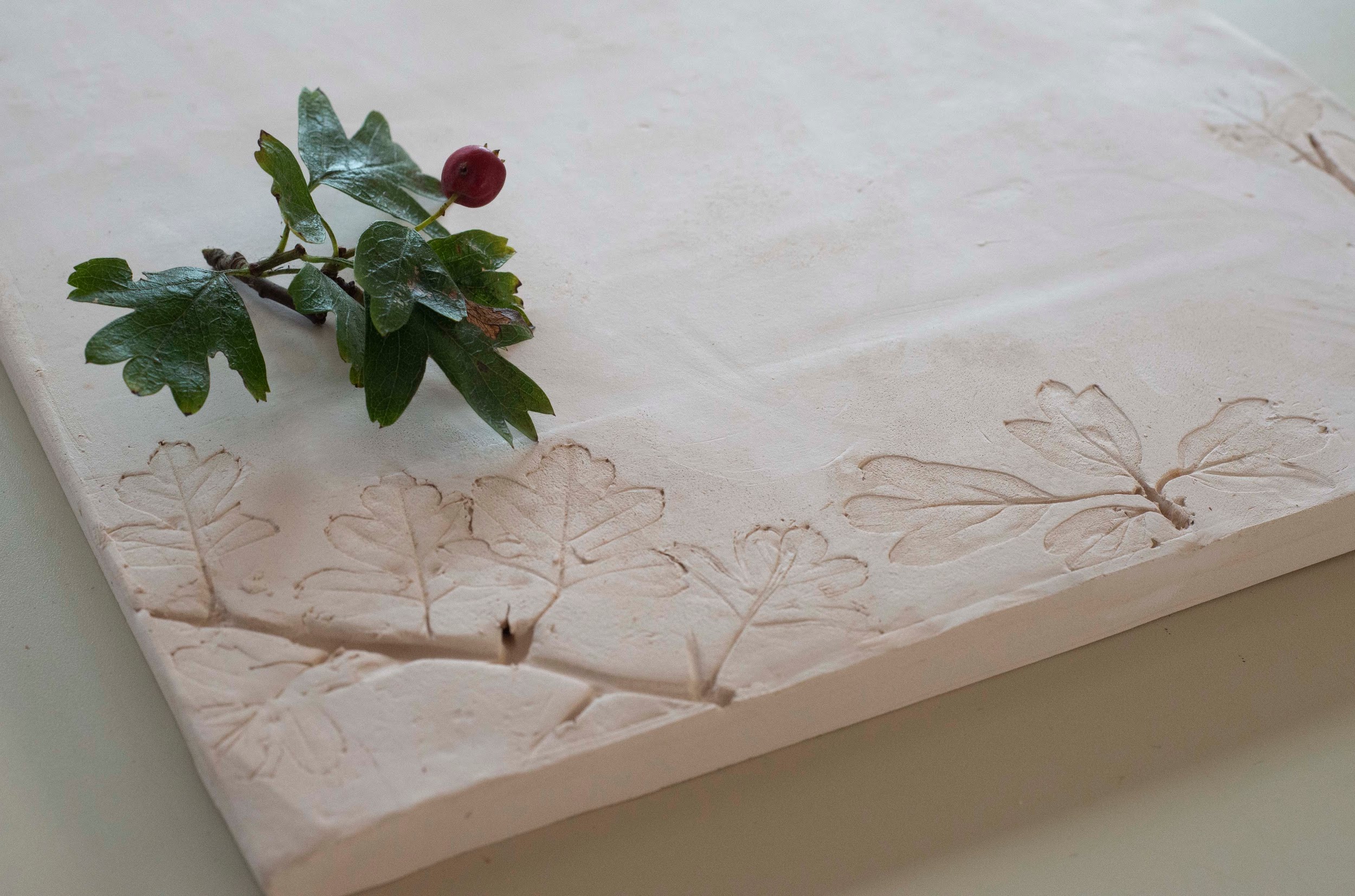 An image of a ceramic tile with a several leaf imprints. A small piece of foliage sits on top of the tile.
