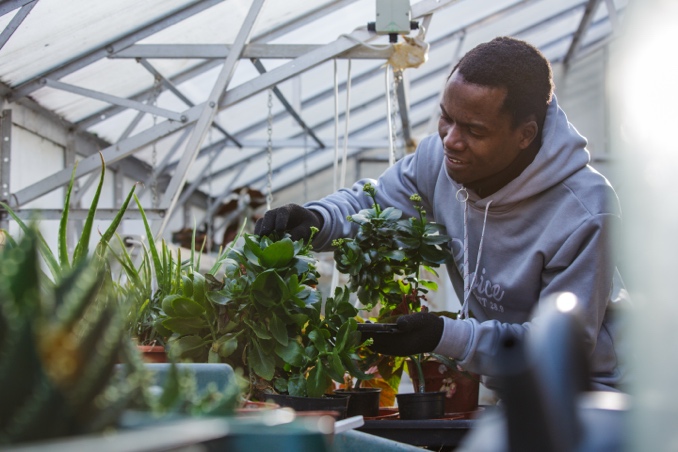 A student studying a plant inside the greenhouse on campus