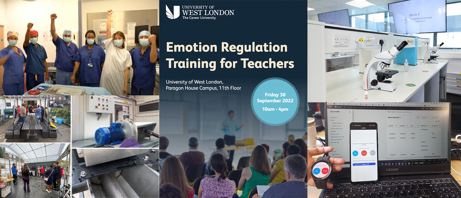 Collage of images from 2023 seed fund projects