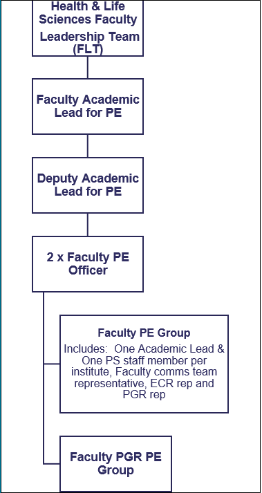 Organogram of HLS P&CE Support and Governance Structure including a Faculty Leadership Team - Faculty Academic Lead for PE - Deputy Academic Lead for PE - 2 x Faculty PE Officer - Faculty PE Group - Faculty PGR PE Group