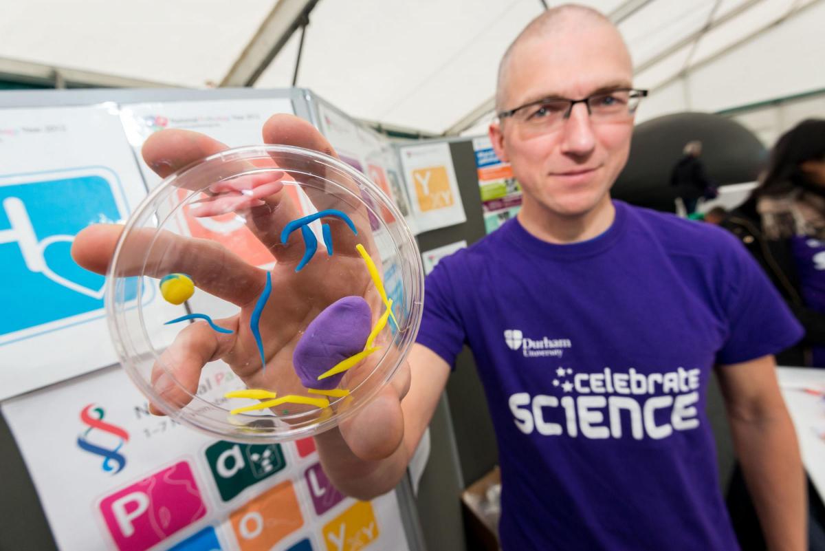 A white man in a purple t-shirt, holding a petrie dish with plasticine micro-organisms inside.