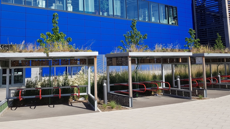 Green roof bicycle shelters outside of IKEA at North Greenwich, London, UK