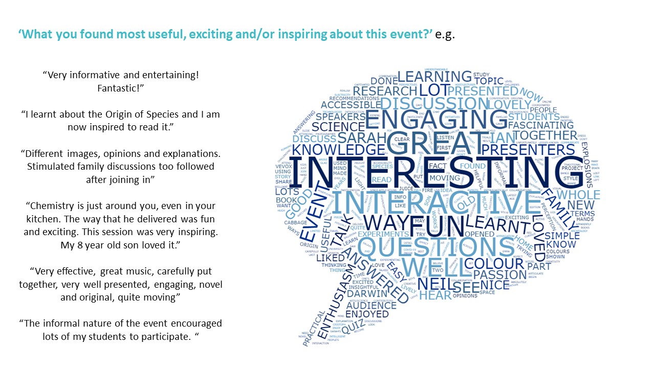 word cloud and quotes from festival participants giving their feedback