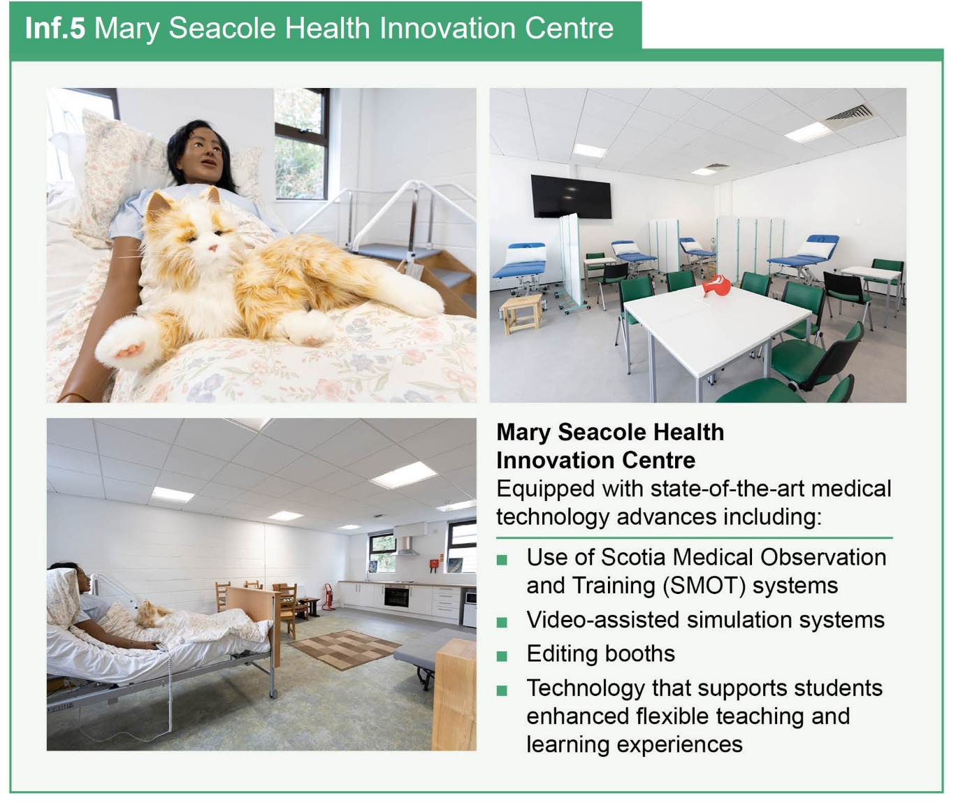 Infographic showing the facilities of the Mary Seacole Health Innovation Centre, including a description the technology and resources available.