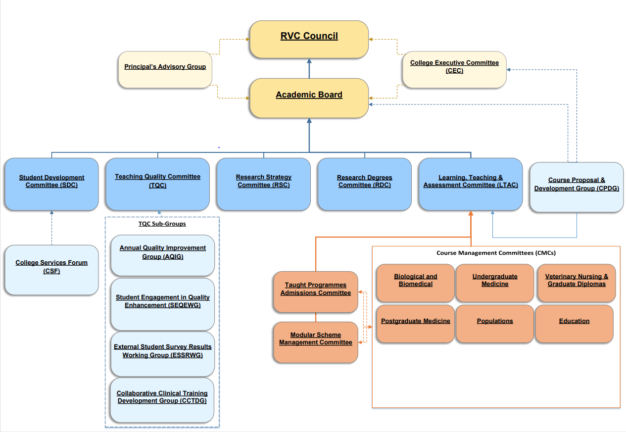 Alt text: Diagram showing committee structure of the RVC