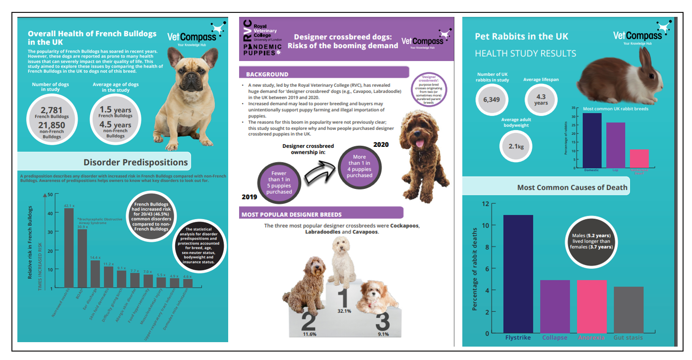 Images of research posters Images of research posters