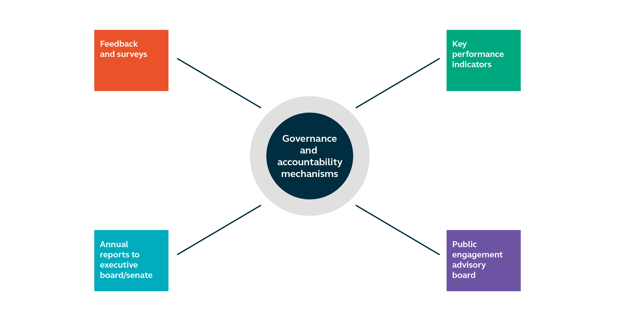 Fig 6 Public engagement governance and accountability mechanisms