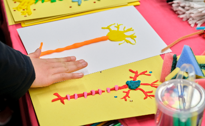 Activities at the Cambridge Festival People enjoying hands-on activities and creative installations at the Cambridge Festival. Activities include talks, tours and creative workshops and are for both young children and adults.