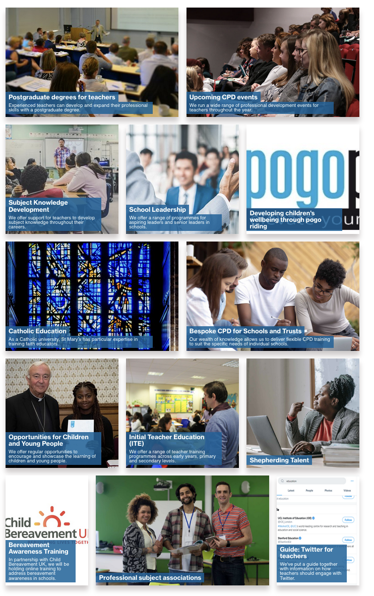 Image showing variety of CPD and training offered to teachers and school leaders, including bespoke CPD, opportunities for pupils, subject specialism and school leadership training.