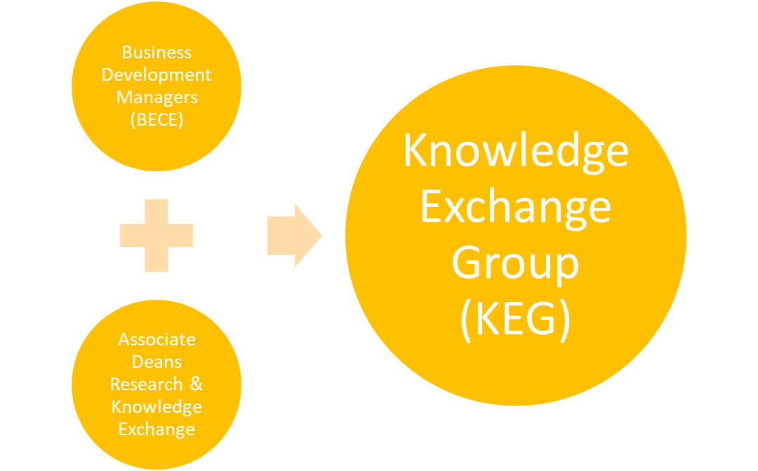 Internal Governance Structure Business Development Managers work with Associate deans Research and Knowledge Exchange to provide activity updates to the Knowledge Exchange Group.
