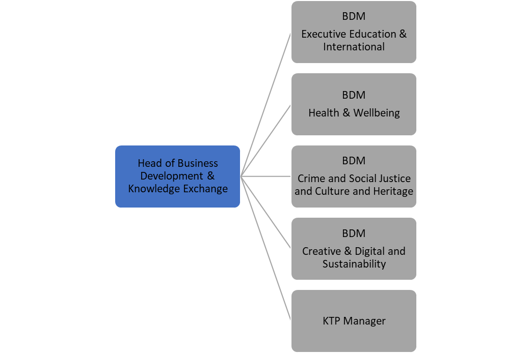 BDKE New Business Development Staff The Head of team manages 5 Business development posts; a KTP Manager, Executive Education and International, Health and Wellbeing, Crime and Social Justice & Cultural and Heritage, Creative & Digital and Sustainability.